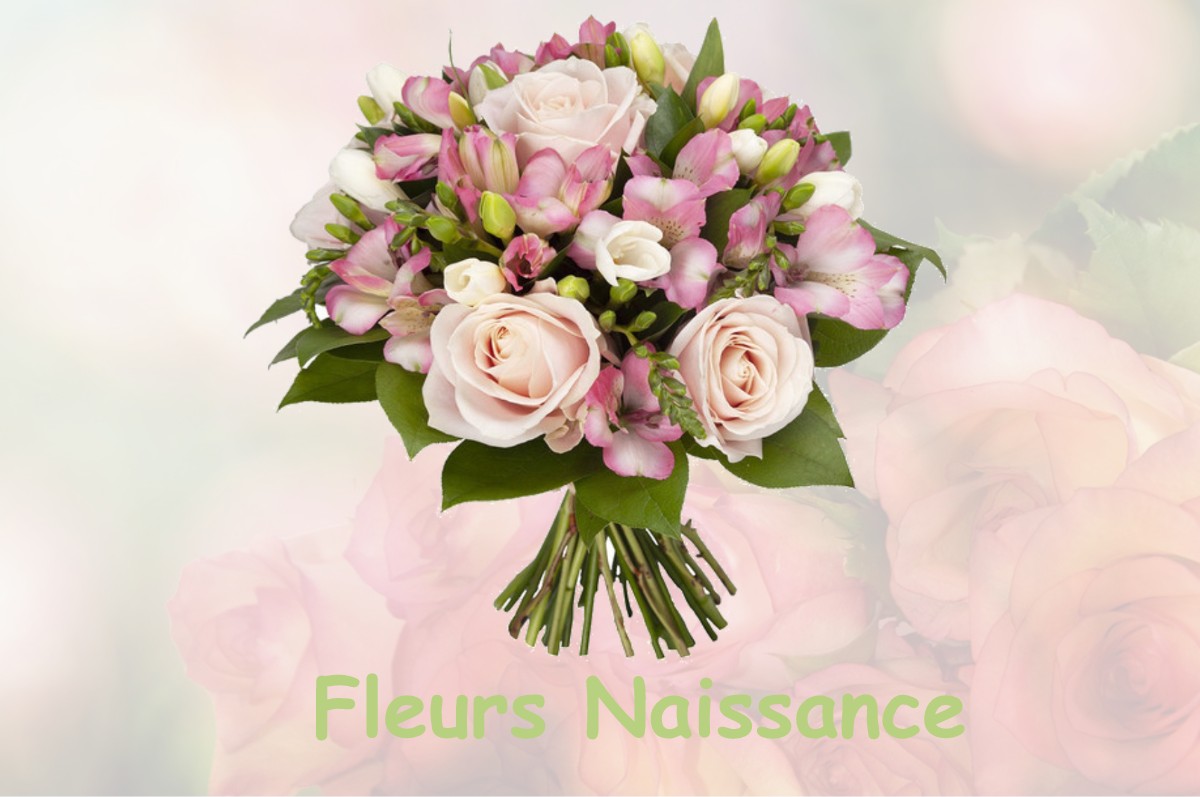 fleurs naissance SAINT-FELIX-DE-PALLIERES