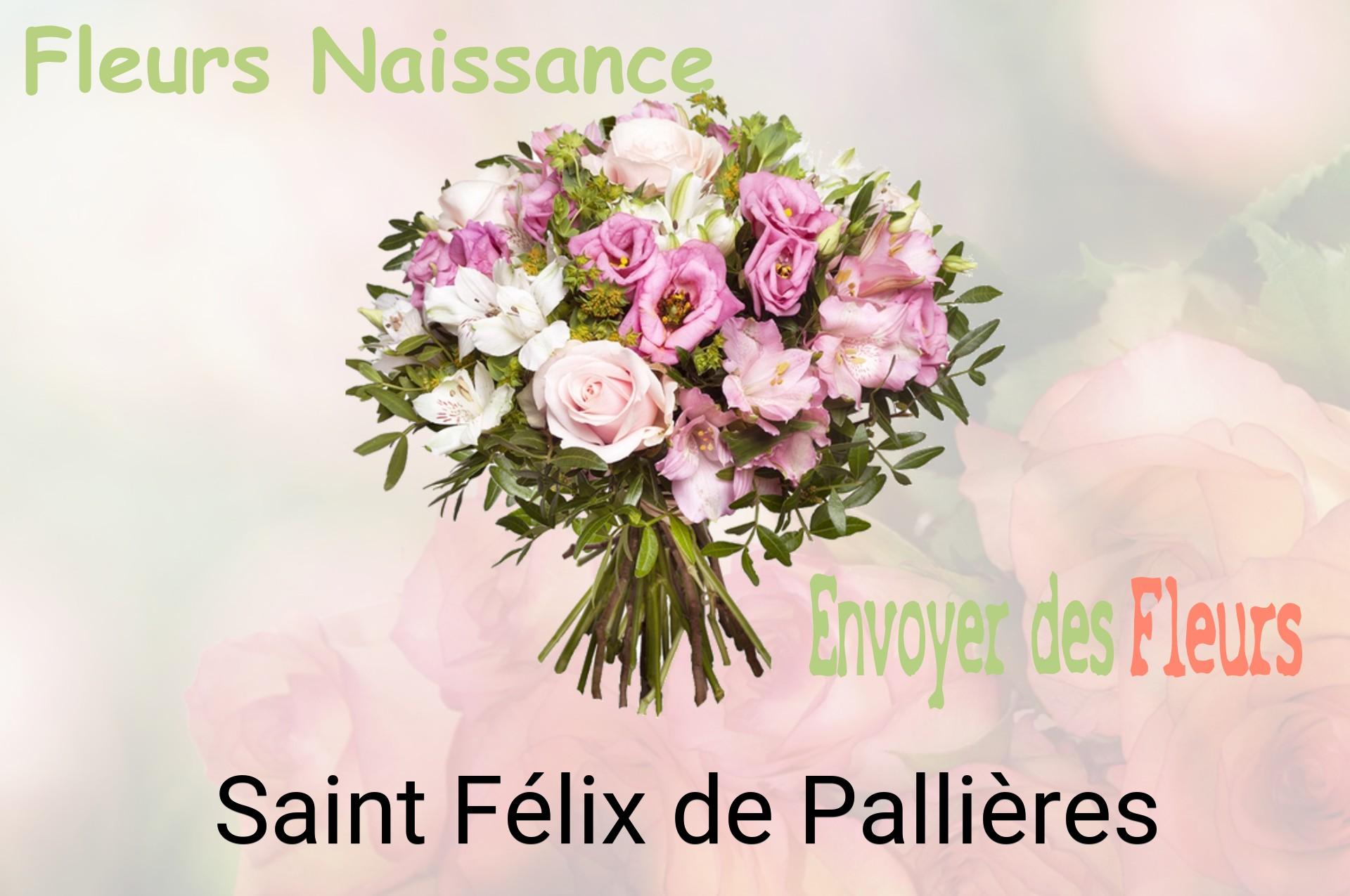 Bouquet de fleurs de naissance livré à Saint-Félix-de-Pallières