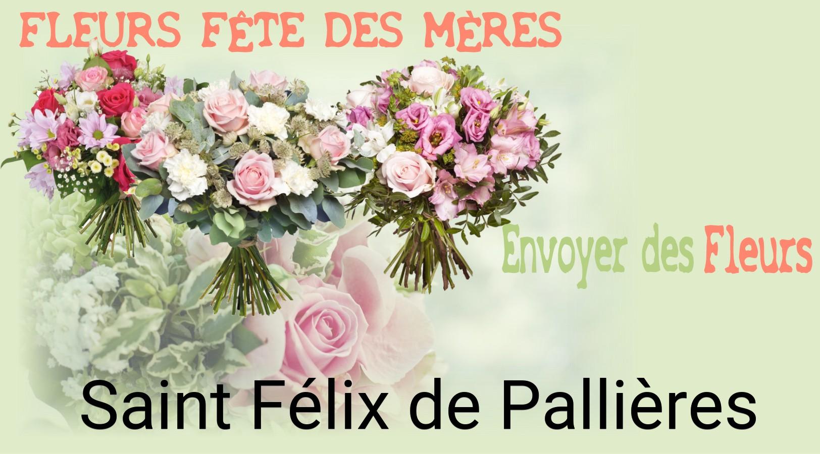Bouquet de Fête des Mères livré à Saint-Félix-de-Pallières